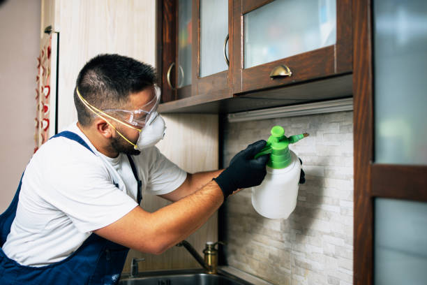Best Wasp Removal Services  in Oologah, OK