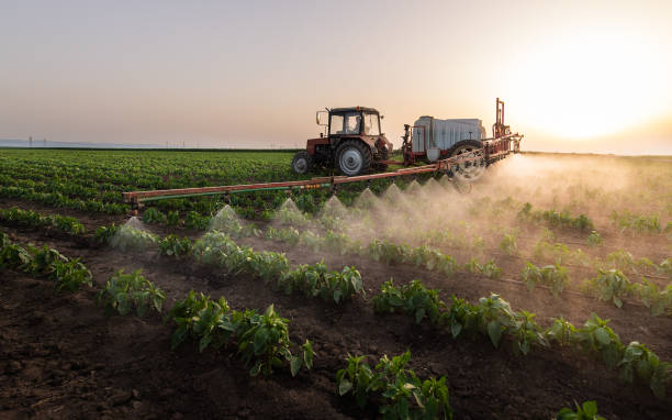 Best Pest Prevention Services  in Oologah, OK