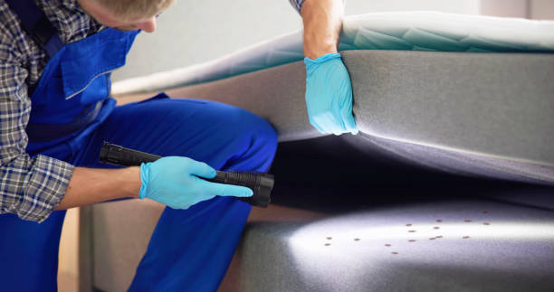 Best Emergency Pest Control  in Oologah, OK